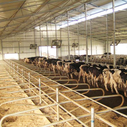 牛舍隔栏 - hengyin livestock