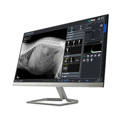 管理软件 - VxVue - IBIS srl - 用于放射学 / 兽用