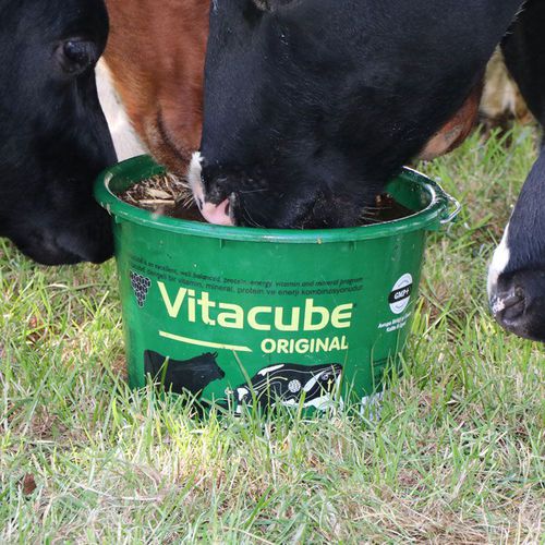 牛用桶装舔块 - Vitacube® - farmann - 山羊 / 羊用 / 马