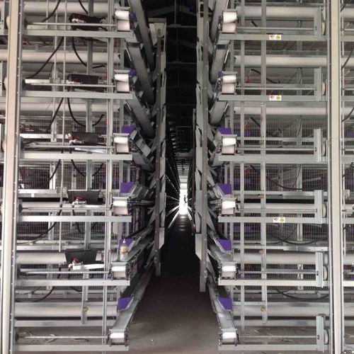 雏鸡饲养系统 - Space XXL - OMAZ