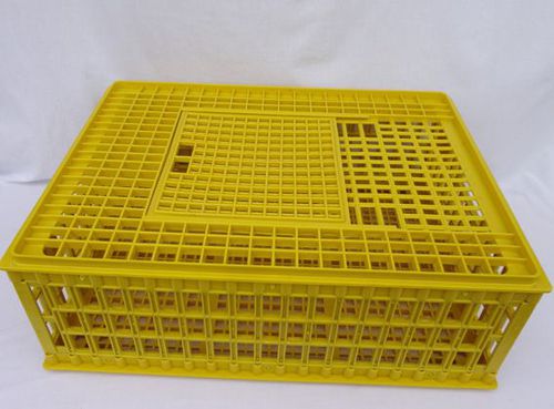 鸡运输笼 - TCRATE - broedmachine - 塑料