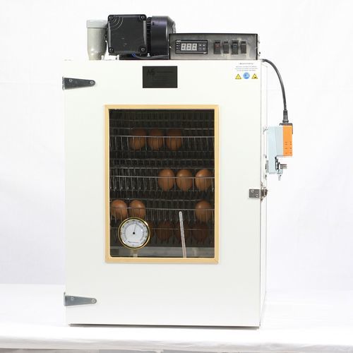 自动翻面蛋孵化器 - MS90 - broedmachine - 母鸡 / 橱柜式