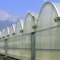 温室篷布 - INDASOL STANDARD - Solplast S.A. - 防紫外线 / 热效应 / 冷却效应