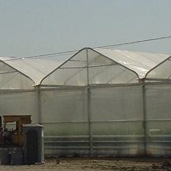 温室篷布 - INDASOL CRYSTAL - Solplast S.A. - 防紫外线 / 热效应 / 冷却效应