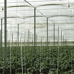 温室篷布 - DC CRISTAL - Solplast S.A. - LDPE / 热效应 / 可回收