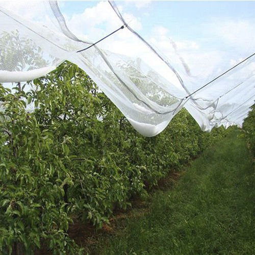 防雹网 - AGRONEW CO., LTD - 遮阳 / 防风 / HDPE