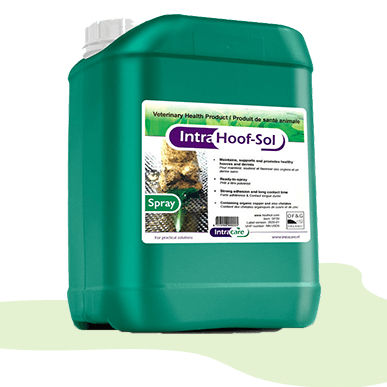 喷雾式蹄部护理喷雾剂 - NN.U5D5 - Diamond Hoof Care Ltd - 牛 / 机器人应用