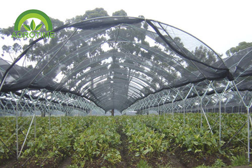 连栋温室 - CMY9343 - CHINA AGROTIME - 钢结构