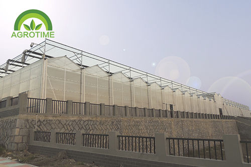 Venlo型温室 - CMV1045 - CHINA AGROTIME - 塑料 / 玻璃 / 带排水沟
