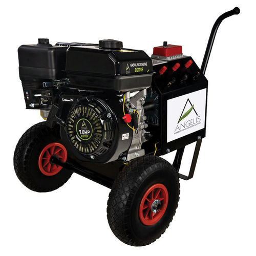 便携式发电机组 - ANGELIS OLIVE HARVESTING EQUIPMENT - 农用