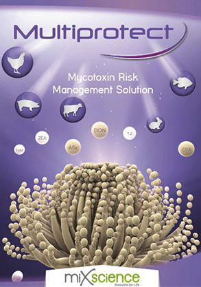 真菌毒素吸附剂饲料添加剂 - Multiprotect Y - MiXscience - 家禽 / 猪 / 牛
