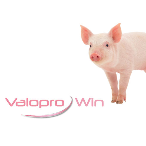 猪饲料添加剂 - Valopro Win - MiXscience - 干式