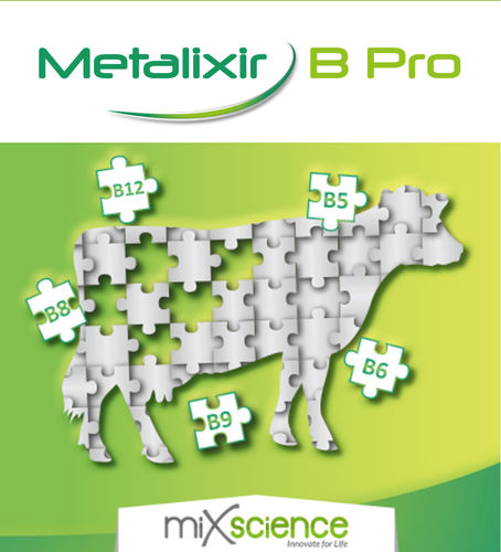 牛饲料添加剂 - Metalixir B Pro - MiXscience - 干式