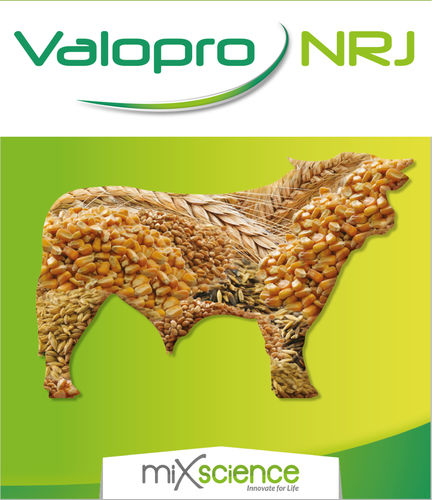 牛饲料添加剂 - Valopro NRJ - MiXscience - 干式