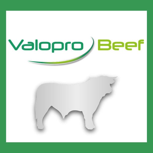 动物饲料补充剂 - Valopro Beef - MiXscience - 肉牛 / 蛋白质 / 干式
