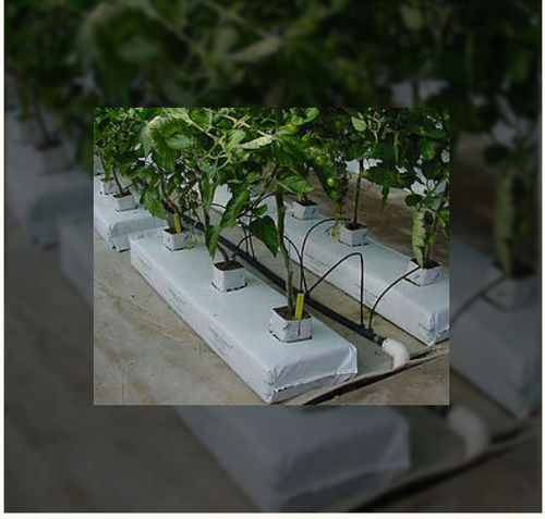 椰糠栽培基质 - Kiyolanka Coco Products PVT LTD - 袋装
