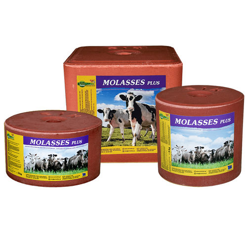 牛畜牧盐舔块 - MOLASSES PLUS - S.I.N. HELLAS - 羊用 / 山羊 / 马