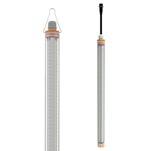养殖场灯具 - ACL-T12-L - Shenzhen AMB Technology Co., Ltd. - LED式 / 调光 / 禽类