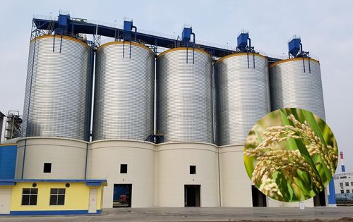 谷物筒仓 - TCK series - SRON SILO ENGINEERING - 电镀钢 / 平底 / 带螺杆输送装置