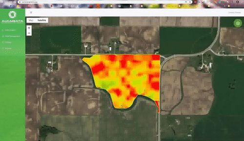 管理软件 - Augmenta Agriculture Technologies - 监控 / 分析 / 测绘