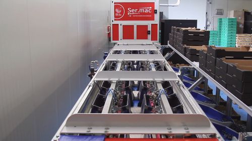 浆果分拣机 - Quadra Machinery - 光学