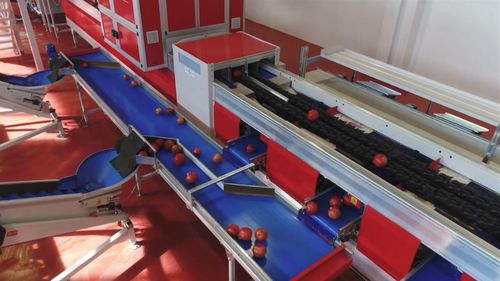 石榴分拣机 - Quadra Machinery - 光学