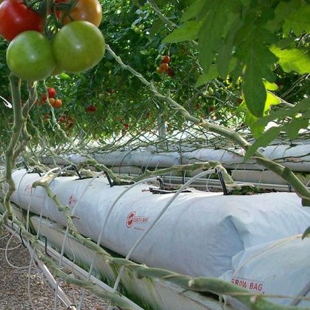 无土栽培种植袋 - İSTANBUL SERA PLASTİK SAN.VE TİC.A.Ş.