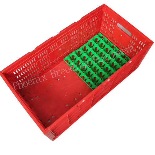 打包蛋箱 - Ph-150 - Cangzhou Phoenix Breeding Equipment Co., Ltd. - 鸡蛋 / 塑料