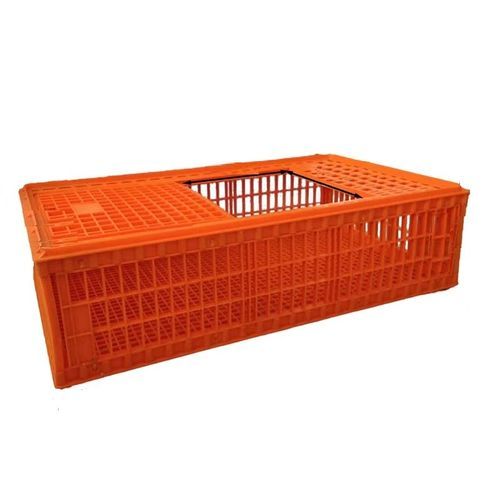 鸡运输笼 - Ph-152 - Cangzhou Phoenix Breeding Equipment Co., Ltd. - 塑料