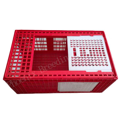 火鸡运输笼 - Ph-274 - Cangzhou Phoenix Breeding Equipment Co., Ltd. - 鸡 / 塑料