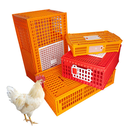 火鸡运输笼 - Cangzhou Phoenix Breeding Equipment Co., Ltd. - 鸡 / 鹌鹑