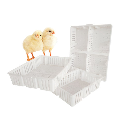鸭运输笼 - Cangzhou Phoenix Breeding Equipment Co., Ltd. - 仔鸡 / 鹌鹑 / 塑料