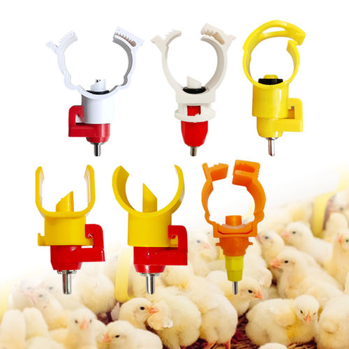 禽类乳头饮水器 - Cangzhou Phoenix Breeding Equipment Co., Ltd. - 蛋鸡 / 不锈钢 / 塑料