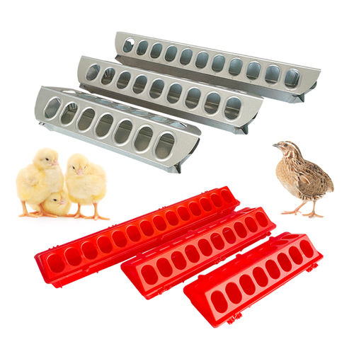 小鸡喂食器 - Cangzhou Phoenix Breeding Equipment Co., Ltd. - 鸽子 / 塑料 / 金属