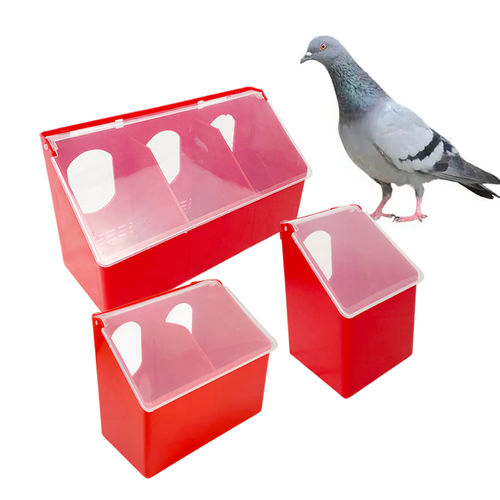 喂水器喂食器 - Cangzhou Phoenix Breeding Equipment Co., Ltd. - 鸽子 / 塑料