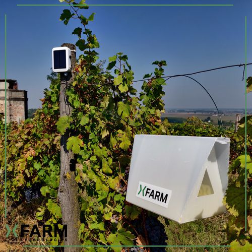 昆虫防虫害陷阱 - xNode - X-FARM - 胶 / 信息素 / 农作物