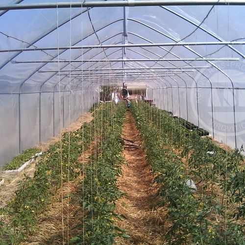 单拱温室 - Agroservis - proizvodnja d.o.o. - 花园 / 钢结构 / 永久性