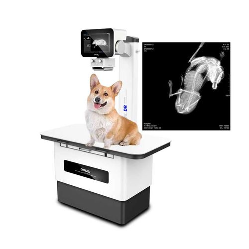动物放射成像系统 / 数字 - RV-32B - Dawei Veterinary Medical (jiangsu) co., ltd. - 家畜 / 固定 / 带有检查台