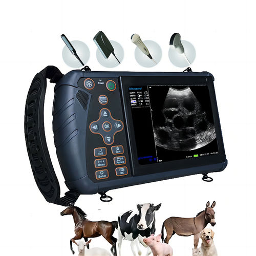 便携式兽用超声诊断仪 - S1-VET - Dawei Veterinary Medical (jiangsu) co., ltd. - 大型动物 / 线性 / 凸面