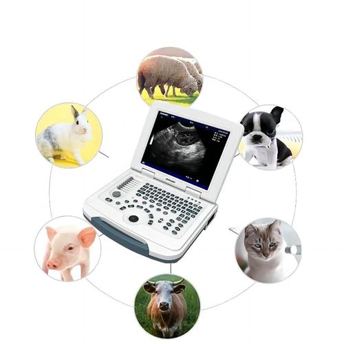 便携式兽用超声诊断仪 - MU10 - Dawei Veterinary Medical (jiangsu) co., ltd. - 大型动物 / 小动物 / 犬用