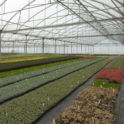 多尖顶温室 - Gothic  - Resif Greenhouse Technologies - 塑料 / 钢结构 / 永久性