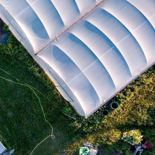 连栋温室 - Resif Greenhouse Technologies - 钢结构 / 永久性 / 钢结构