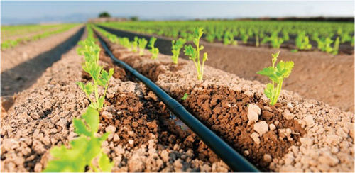 地下滴灌系统- Raindrip - Oneaqua China - 落地式