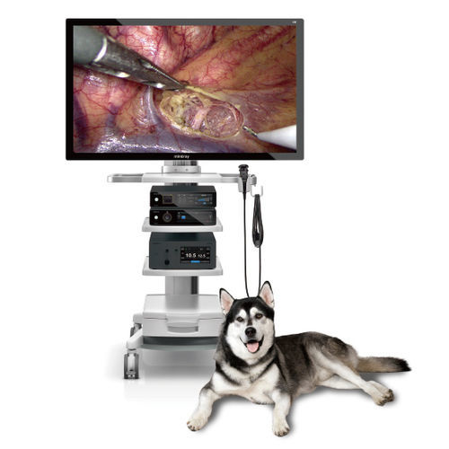 硬性动物内窥镜 - Vetina CS7 - Shenzhen Mindray Animal Medical Technology Co., Ltd. - 用于小型动物 / 消化系统 / 便携式