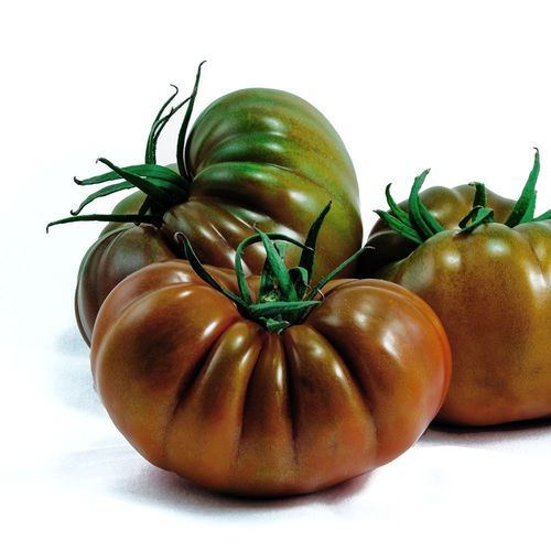红色番茄种子 - KUNURI - Manier Seeds - 半早熟 / 大棚栽培