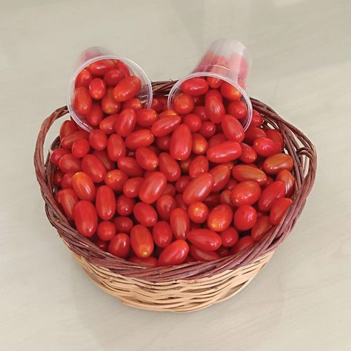 红色小蕃茄种子 - ORIGINAL - Manier Seeds - 圆形