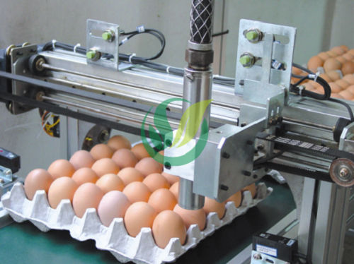 自动鸡蛋喷码机 - Chengdu Shengxing Poultry Machinery Co., Ltd.