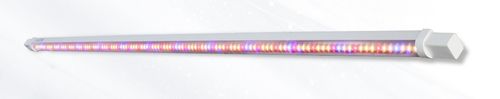 垂直种植系统灯具 - skylark - Fujian Sanan SINO-SCIENCE Photobiotech Co., Ltd. - LED式 / 红色