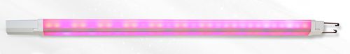 温室灯具 - Flamingo - Fujian Sanan SINO-SCIENCE Photobiotech Co., Ltd. - LED式 / 用于室内 / 红色