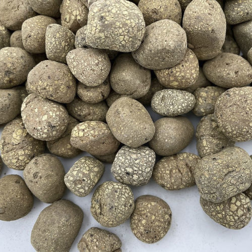 膨胀粘土球栽培基质 - Mineravi - 袋装 / 粗粒